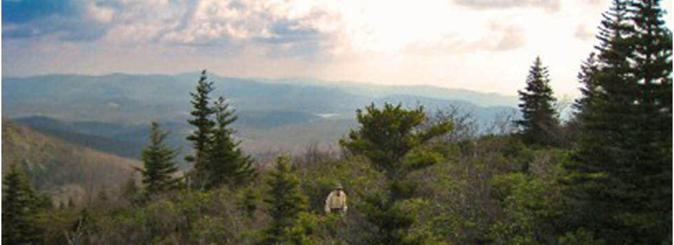 Lone Hiker